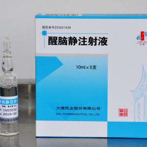 大理药业醒脑静注射液10mlx2支/盒